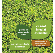 Prim-plan cu gazon cu informații despre un verde intens, azot disponibil imediat, rezistență sporită a gazonului și disponibilitate pe termen lung a nutrienților