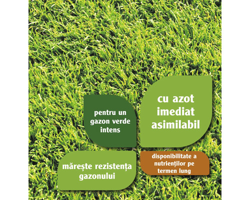 Prim-plan cu gazon cu informații despre un verde intens, azot disponibil imediat, rezistență sporită a gazonului și disponibilitate pe termen lung a nutrienților