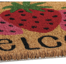 Covoraș de ușă cu motiv de căpșuni și inscripția Bine ați venit