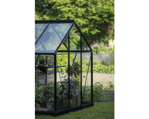 Seră cu plante în grădină