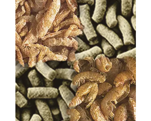 Prim-plan cu hrană pentru pești, constând din amfipode uscate și pelete de hrănire