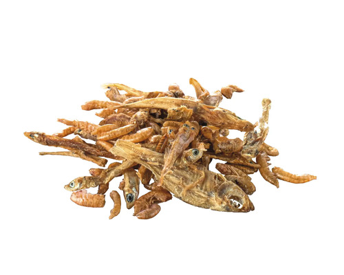 Grămadă de pești uscați ca hrană pentru animale