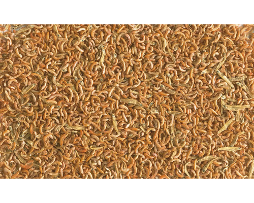 Prim-plan cu crustacee uscate ca hrană pentru pești