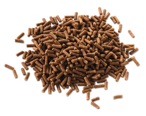 Grămadă de granule pentru pești