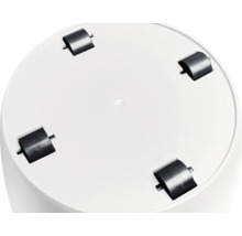 Partea inferioară rotundă a suportului pentru plante cu patru roți