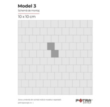 Modelul 3 schema de montaj 10 x 10 cm