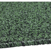 Prim-plan gazon artificial