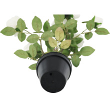 Trandafir artificial în ghiveci