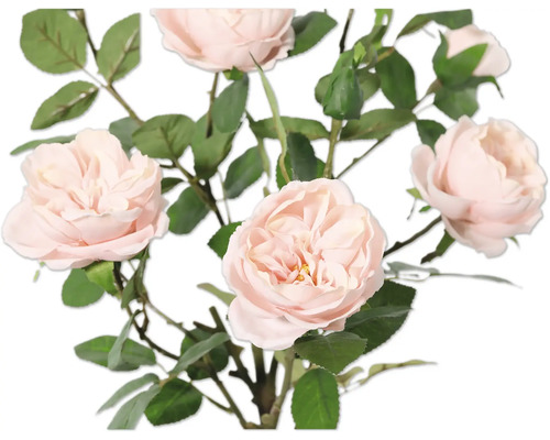 Buchet cu flori delicate de trandafir și frunze verzi