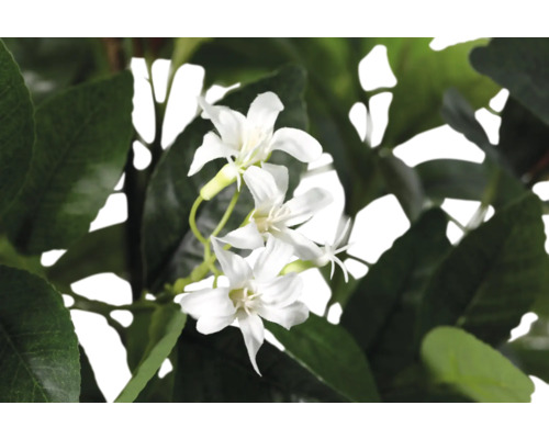 Plantă artificială cu flori albe și frunze verzi