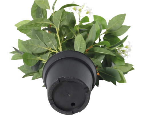 Vedere de sus a unei plante artificiale cu frunze verzi și flori albe într-un ghiveci negru