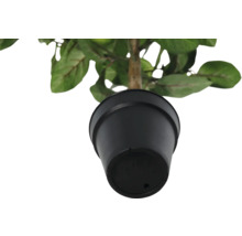 Plantă artificială în ghiveci negru