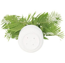 Ghiveci de plastic cu frunze de ferigă