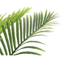 Prim-plan frunză de palmier