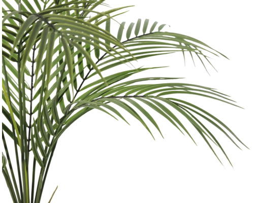 Palmă cu frunze verzi