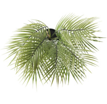 Palmă artificială în ghiveci, vedere de sus.