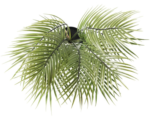 Palmă artificială în ghiveci, vedere de sus.