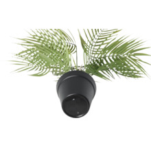 Plantă artificială în ghiveci, detaliu de sus