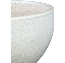 Prim-plan cu o jardinieră