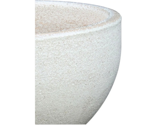 Prim-plan cu o jardinieră