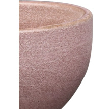 Prim-plan al unui ghiveci de flori cu suprafață aspră