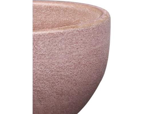 Prim-plan al unui ghiveci de flori cu suprafață aspră