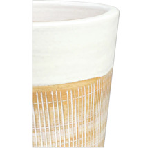 Prim-plan al unui ghiveci de flori cu linii verticale