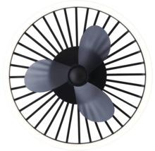 Ventilator de tavan cu iluminare
