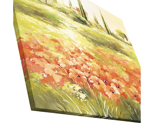 Pictură a unui peisaj toscan cu maci