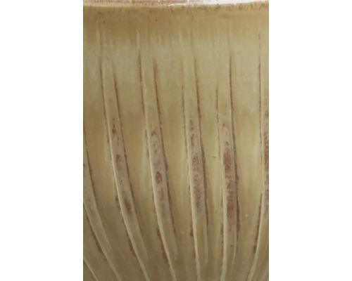 Prim-plan cu un vas de plantare cu model canelat