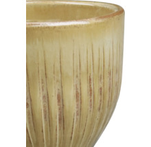 Prim-plan cu un ghiveci ceramic cu suprafață canelată