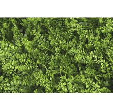 Perete artificial de plante cu diverse frunze verzi pentru decorare