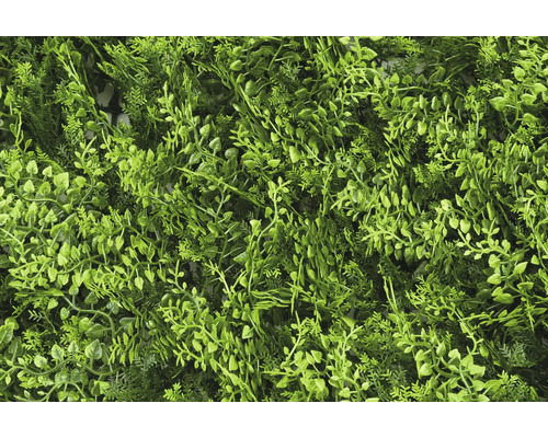 Perete artificial de plante cu diverse frunze verzi pentru decorare