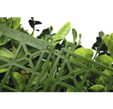 Prim-plan cu panouri de gard viu artificial din buxus conectate între ele