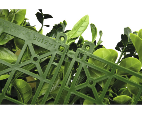 Prim-plan cu panouri de gard viu artificial din buxus conectate între ele