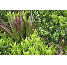 Perete artificial cu plante, cu ferigi și frunze