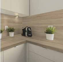 Scenă de bucătărie cu blat, protecție de perete, aparat de cafea și plante în ghiveci