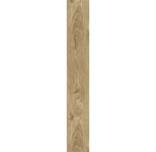 Placă ceramică aspect lemn cu structură de lemn