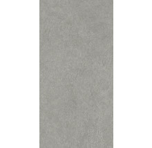 Aspect de beton gri pentru interior