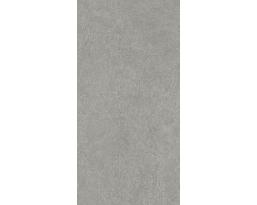 Aspect de beton gri pentru interior