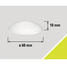 Desen tehnic al produsului cu diametrul de 60 mm și înălțimea de 10 mm