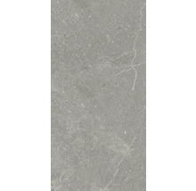 Model de faianță cu decor din piatră