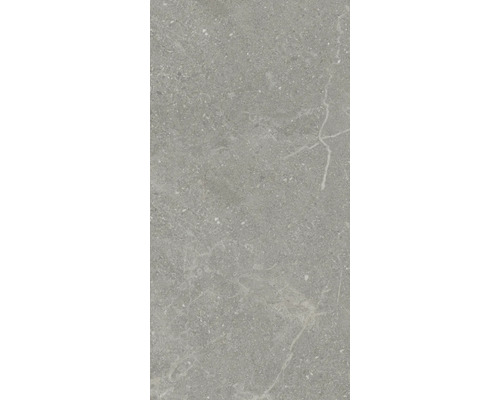 Model de faianță cu decor din piatră