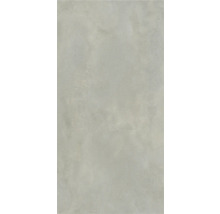 Faianță de perete deschisă la culoare, mată, cu o structură ușoară