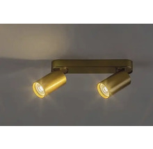 Lumină de plafon cu două spoturi