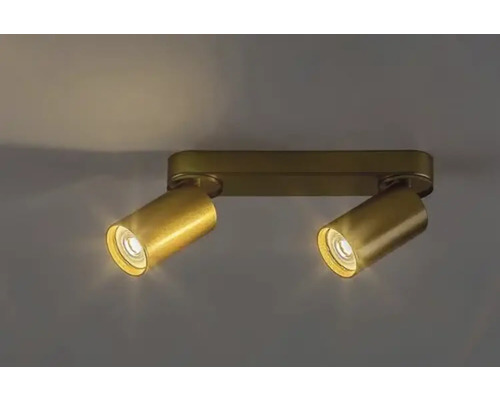 Lumină de plafon cu două spoturi