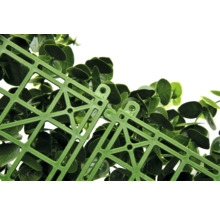 Prim-plan cu o rogojină de plante verde cu grilaj din plastic