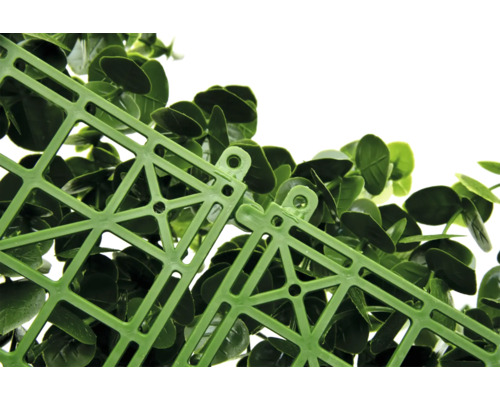 Prim-plan cu o rogojină de plante verde cu grilaj din plastic