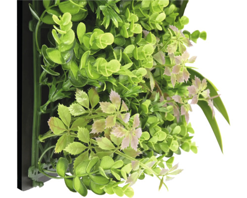 Perete artificial de plante cu diverse frunze verzi