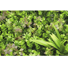 Perete artificial de plante cu diverse frunze verzi